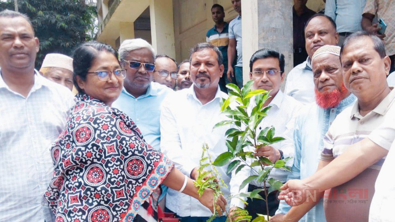 গৌরনদীতে গণঅভ্যুত্থান দিবস উদযাপনের প্রস্তুতি, ১৩১ প্রাথমিক বিদ্যালয়ে দুই হাজার গাছের চারা বিতরণ 