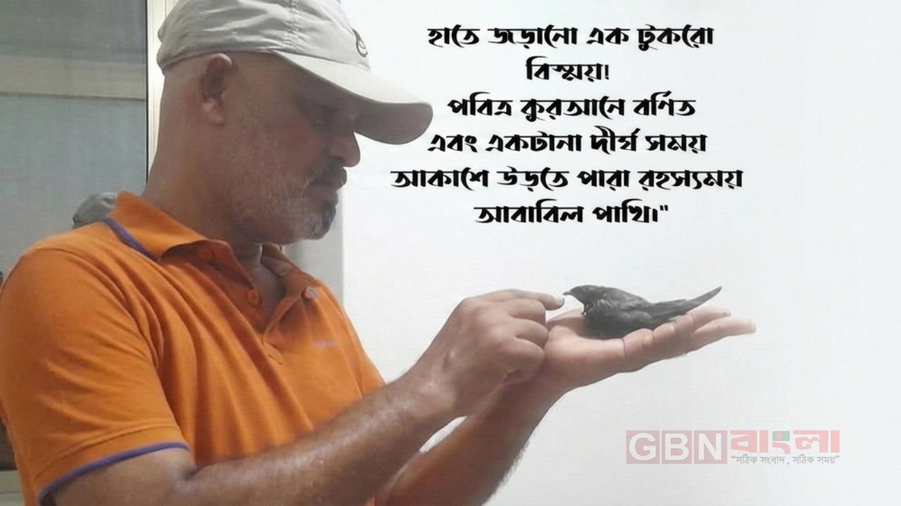 হাতে জড়ানো এক টুকরো বিস্ময় পবিত্র কোরআনে বর্ণিত এবং একটু না দীর্ঘ সময় আকাশে উড়তে পারা রহস্যময় আবাবিল পাখি