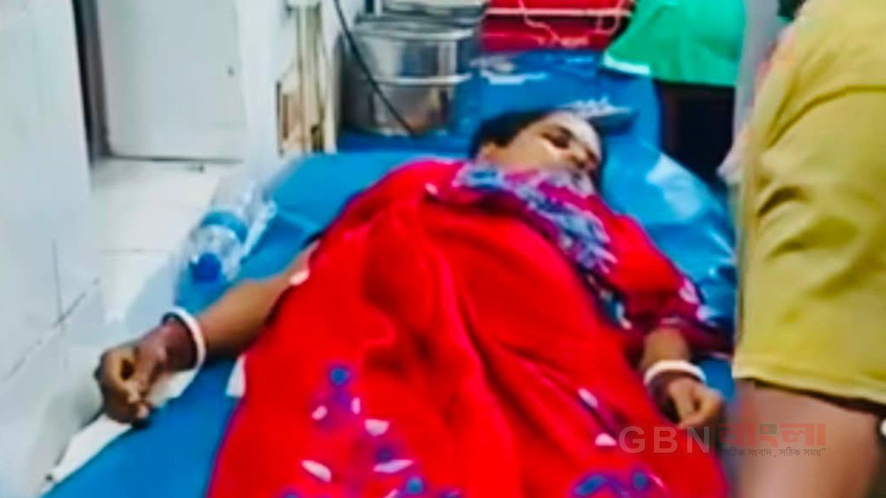 বরিশালের মেহেন্দিগঞ্জে বিষধর সাপের কামড়ে গৃহবধূর মর্মান্তিক মৃ*ত্যু