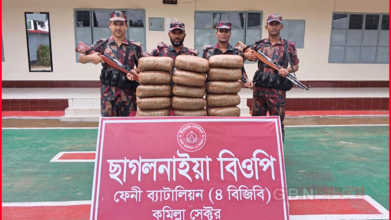 ফেনীতে সীমান্ত এলাকায় অভিযান ৩৫ কেজি ভারতীয় গাঁজা জব্দ