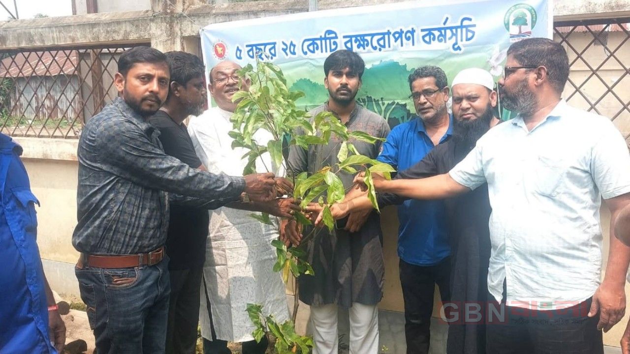 সিরাজগঞ্জে বৃক্ষরোপণ প্রকল্পে অনিয়মের অভিযোগ,  রোগাক্রান্ত ছোট চারা বিতরণ