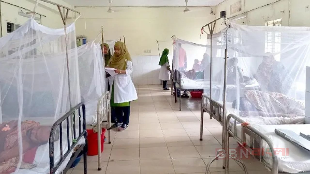 ডেঙ্গুতে একদিনে সর্বোচ্চ মৃত্যু ১০