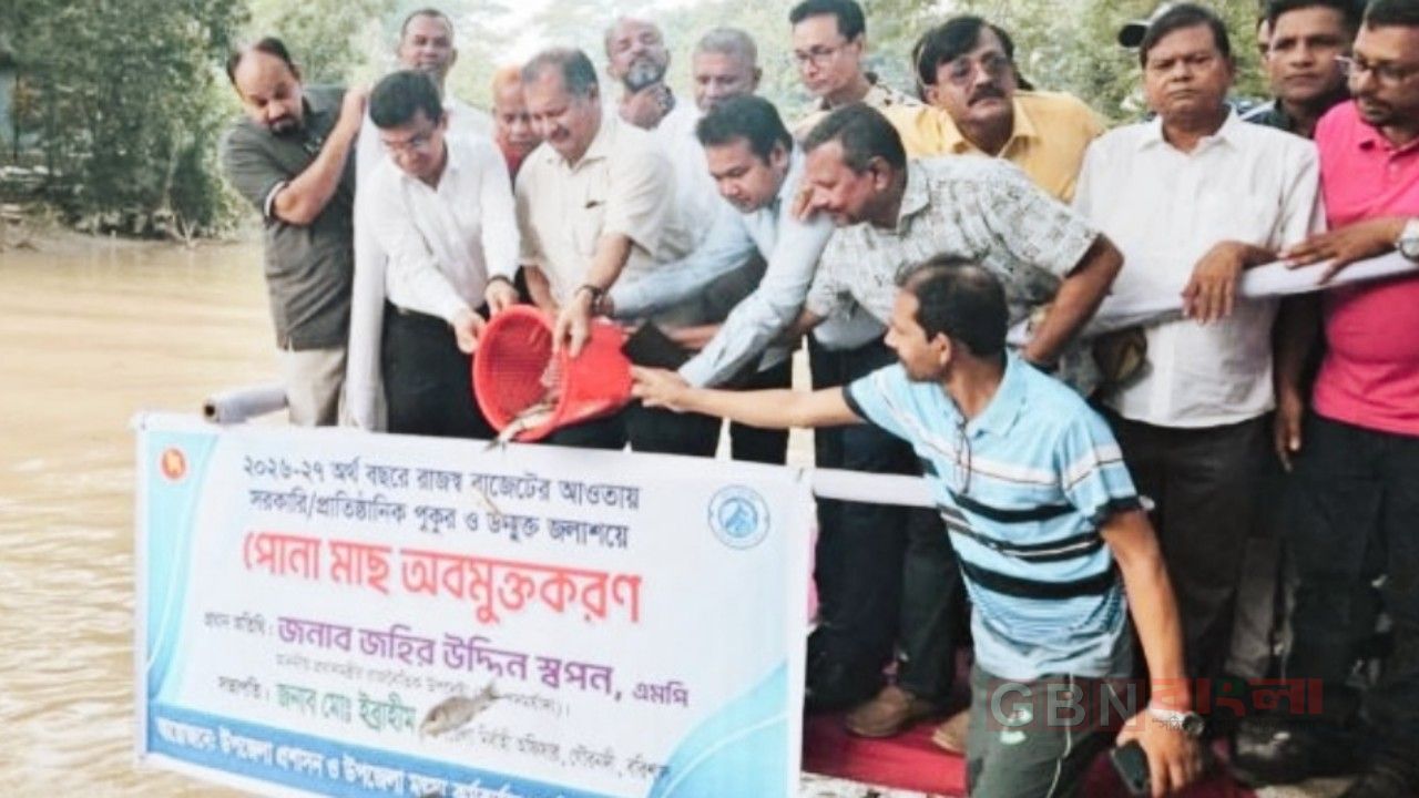 গৌরনদীতে সরকারি জলাশয়ে পোনা মাছ অবমুক্ত