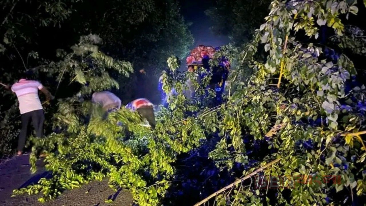 নবাবগঞ্জে সড়কে গাছ ফেলে ডাকাতির চেষ্টা, চার গাড়িতে ভাঙচুর-লুটপাট