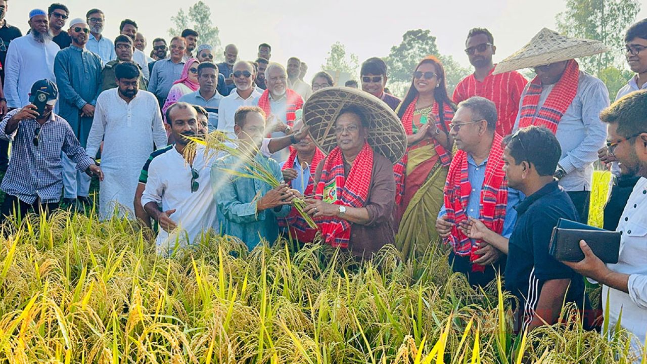 কৃষিকে প্রযুক্তিনির্ভর ও লাভজনক করতে কাজ করছে সরকার: তথ্যপ্রযুক্তি মন্ত্রী